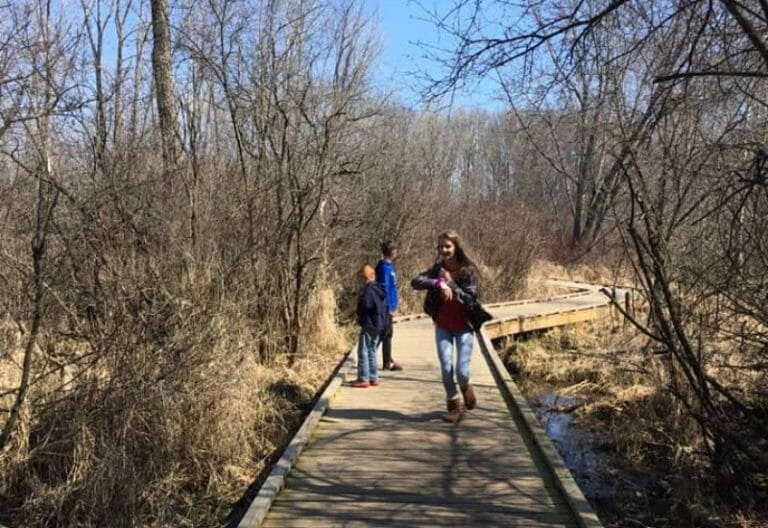 Best Trails In Jackson MI For Walking, Hiking, & Biking(02)